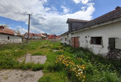 Teren Construcții intravilan de 41000 mp, în Bod - 10