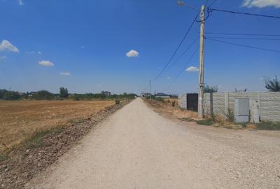 Teren de vanzare Balotesti - 7