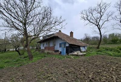 Casă cu 2 camere în Mateieni - 6