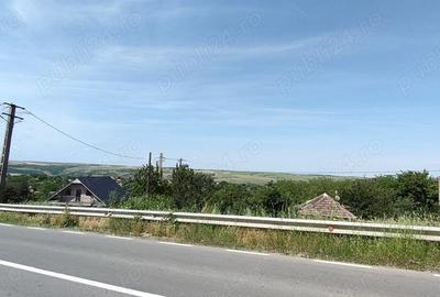 Teren de 925 mp, în Berceni - 4