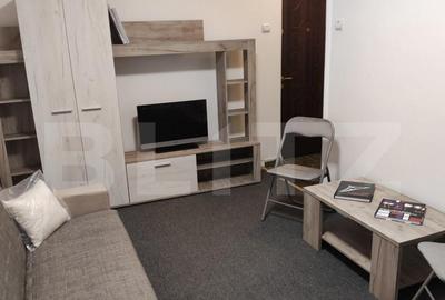 Garsoniera centrala intr-un bloc reabilitat, ideala pent - 10