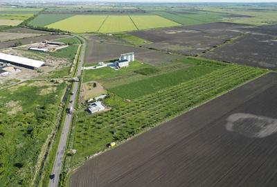 Teren de 24200 mp, în Iratoșu - 17