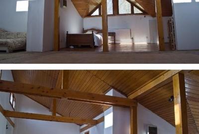 Vila spațioasă Snagov P+E+M – ideală pentru grădiniță, azil sau clinică - 7