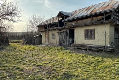 Teren Construcții intravilan de 5000 mp, în Sirețel - 5
