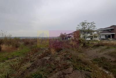 Teren agricol extravilan de 5000 mp, în Corbeanca - 2