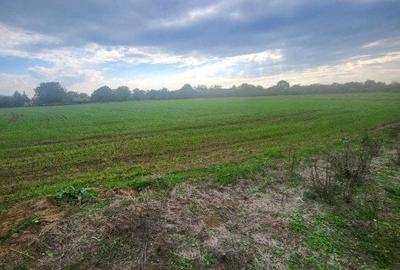 Teren Construcții intravilan de 1800 mp, în Butimanu - 2