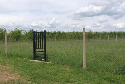 Spațiu comercial, în Bucov - 1