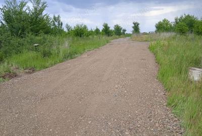 Casă cu 3 camere cu Teren 700 Mp în Dumbrăvița - 2