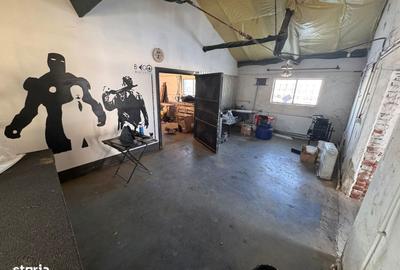 Spațiu comercial, de 376 mp, în Lucian Blaga - 3