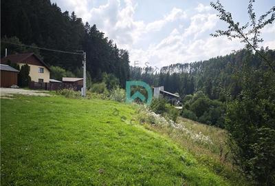 Teren Poiana Angelescu, Sacele, Brasov - 4