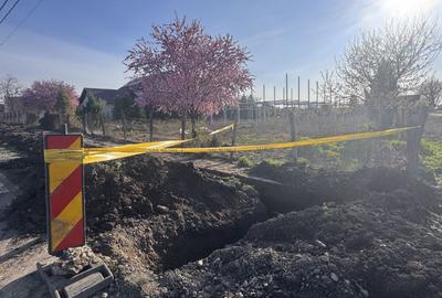 Teren Construcții intravilan de 750 mp, în Becicherecu Mic - 3