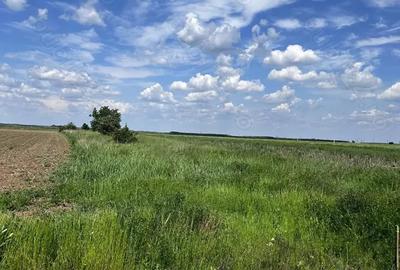 Teren de 2700 mp, în Dragomirești-Vale - 2