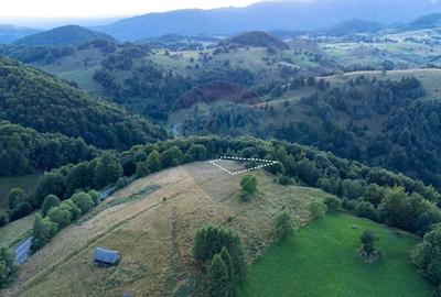 Teren Construcții intravilan de 2000 mp, în Fundata - 3