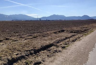 Teren de 6200 mp, în Triaj - 3