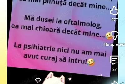 Inchiriez garsoniera mare la casa (vila) Bd Rebreanu - 5