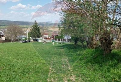 Teren 2,600 mp  sat. Lespezi com.  Garleni,  Strada Preot Cezar Negru - 4