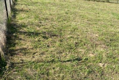 Spațiu comercial, în Sălicea - 5