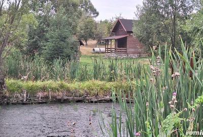 Casă cu 6 camere cu Teren 2700 Mp în Bradu - 10