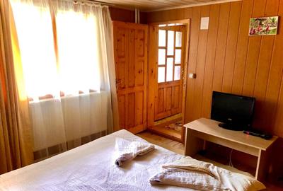 Pensiune 7 camere, Lepsa - 33