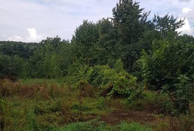 Casă cu 5 camere cu Teren 1700 Mp în Bucium - 6