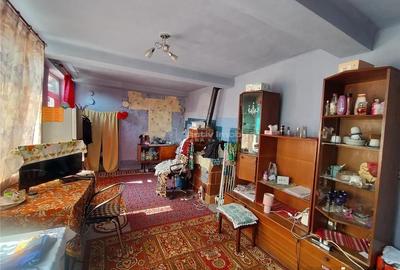 Caransebes, Casa cu Teren de 585 Mp, Zona Sesu Rosu - 12