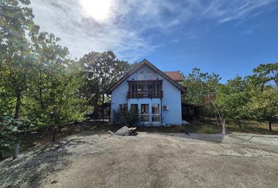 Casa P+1 din lemn - Mihailesti - 6