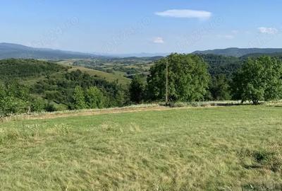 Casa cu teren ,Camp Mo?i, jude?ul Bihor - 6