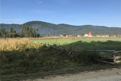 Teren de 2928 mp, în Comandău - 4