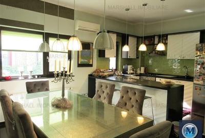 Vila cu 4 camere de vanzare, zona Ultracentral, 332 mp #14427 - 15