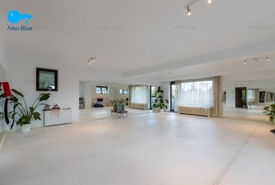 Imobil modern-Domenii, Casin - birouri, clinica, parcare subterana Imobil modern-Domenii, Casin - birouri, clinica, parcare subterana - 15