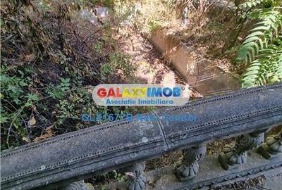 VANZARE 10.000 MP LOCALITATEA ILEANA 49 KM BUCURESTI - 13