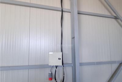 HALA 240 mp Constructie Noua Alexandria - 3