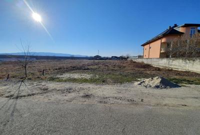 Spațiu comercial, în Ostroveni - 6