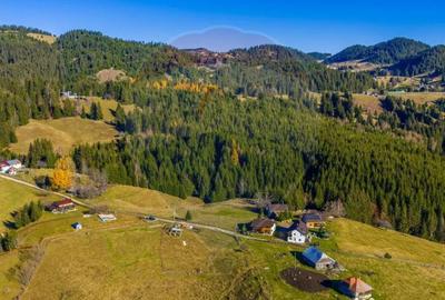 Teren de 13800 mp, în Fundățica - 12