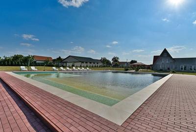 Sala de evenimente cu  piscina si foisor Biled COMISION 0 % CUMPARATOR - 28