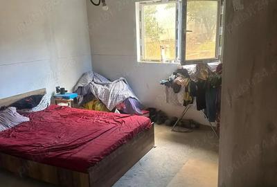 Casă cu 3 camere cu Teren 300 Mp în Lumina - 2