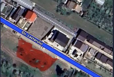 Teren de 998 mp, în Pruni - 3