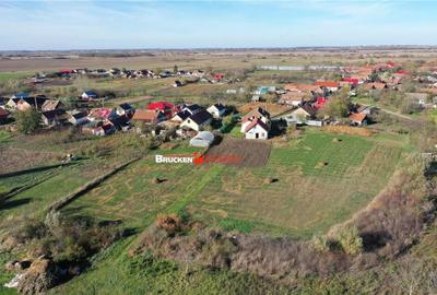 TEREN PENTRU CONSTRUCTIE CASE - 3