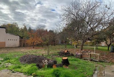 Teren de 1007 mp, în Lipovei