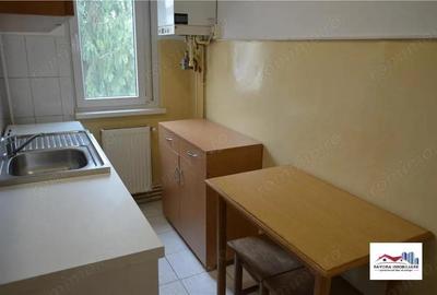 Apartament 2 Camere de Inchiriat Zona Dambu Pietros - 10