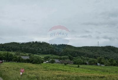 Teren 1,495mp Dobreni / Strada Parau Almas - 3