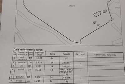 Casă cu 1 camere cu Teren 50 Mp în Central - 2