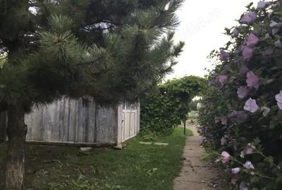 Teren de 2400 mp, în Perișoru - 5