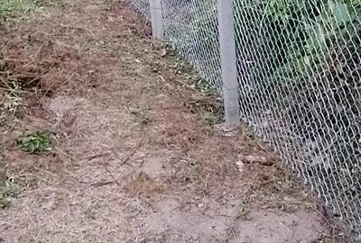 Casă cu 4 camere în Budănești - 4