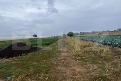 Teren de 4700 mp, în Central