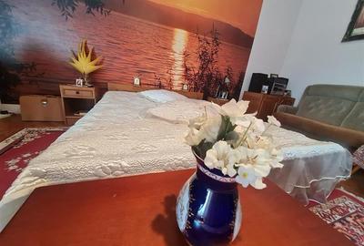 Poveste saseasca la umbra vitei de vie, cu crama si gradina cu flori, Central Co - 4