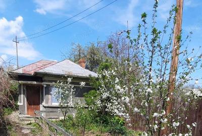 Casă cu 2 camere cu Teren 2536 Mp în Poienarii-Rali - 1