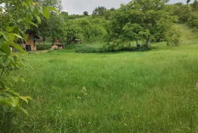 Teren de 900 mp, în Cojocna - 3