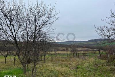 Teren de 500 mp, în Hidiș - 5