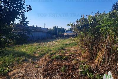 Casa cu teren 3579mp in com. Cascioarele, Jud. Giurgiu - 4